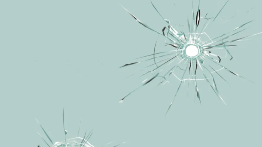 TN29 Autodefensa y Armas