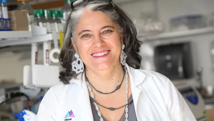 Ana Fernández-Sesma