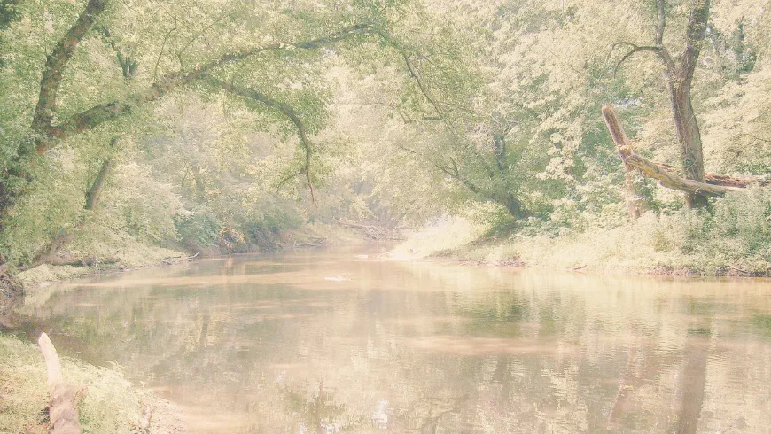 Conferencia &quot;Walt Whitman y su contexto, su obra en marcha 'Hojas de hierba' influencia e impacto de su poesía&quot;