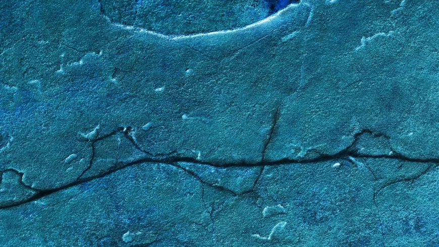 Congreso internacional &quot;Frontiers and Wastelands&quot;