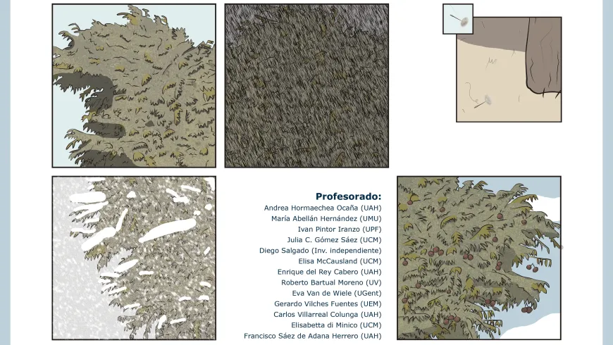 Cabecera curso verano
