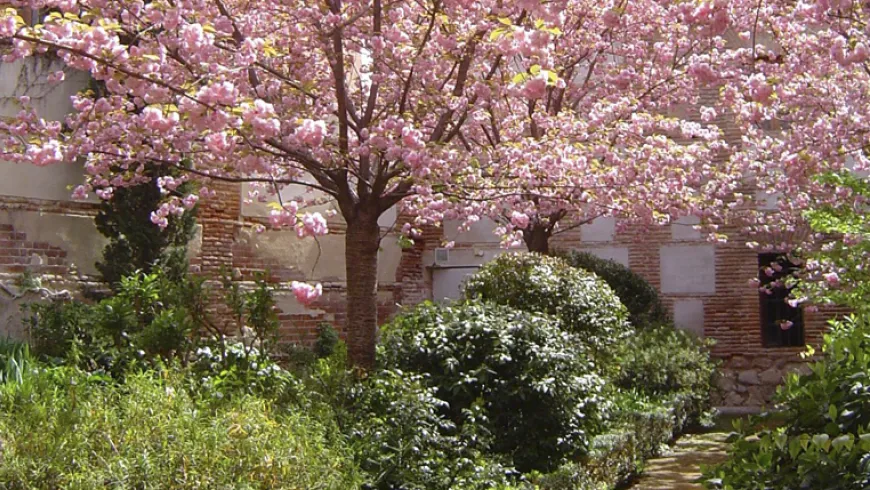 Colaboración entre el Instituto Franklin-UAH y el Museo Esteban Vicente de Segovia