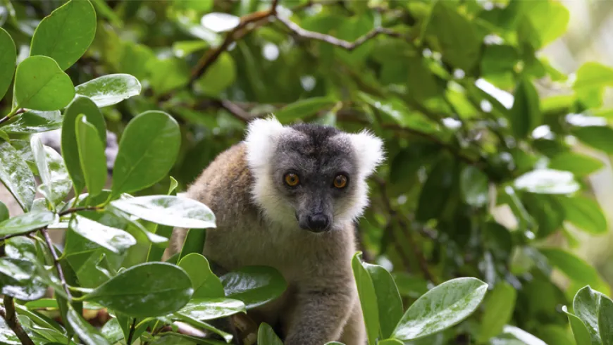 Tesis doctoral defendida por Gloria Fernández Lázaro