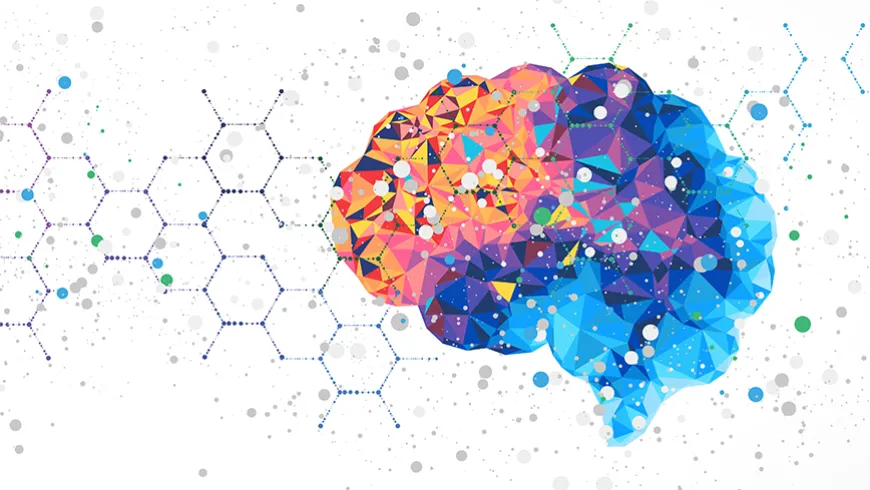 De como el bilingüismo esculpe el cerebro