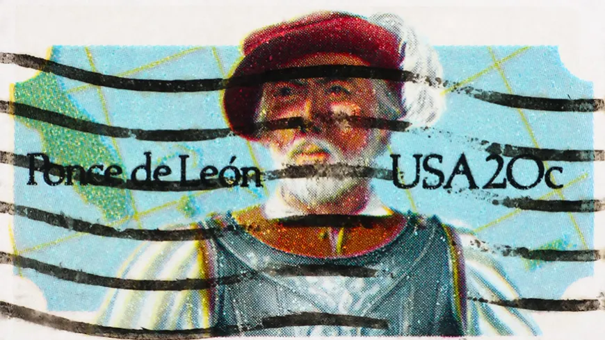 Dos décadas acercando sociedades