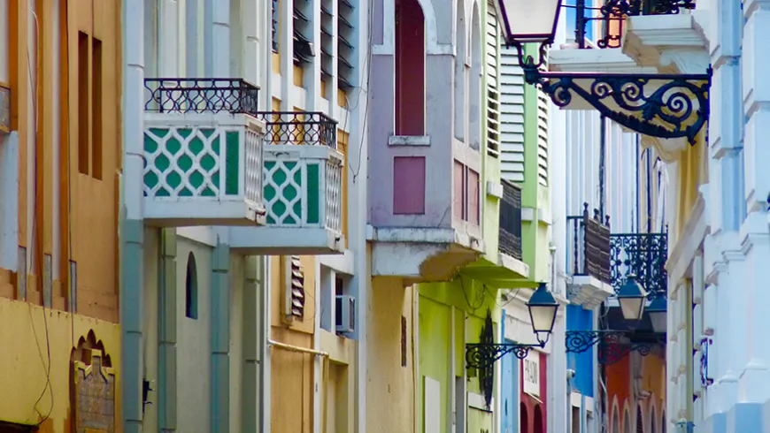 Diasporic Journeys: Memoirs by Puerto Rican Writers in the US