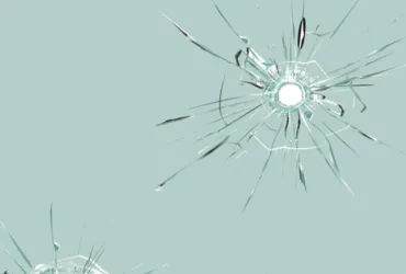 TN29 Autodefensa y Armas