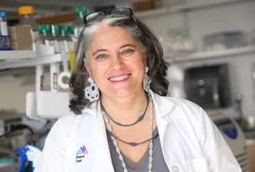 Ana Fernández-Sesma