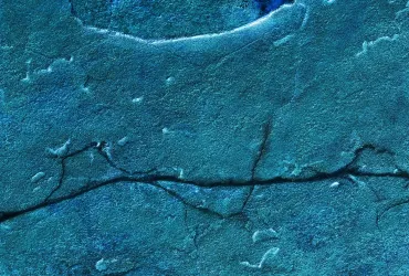 Congreso internacional &quot;Frontiers and Wastelands&quot;