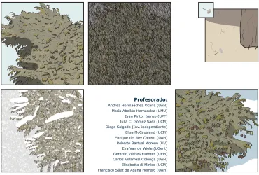 Cabecera curso verano