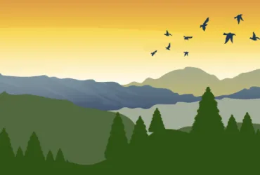 Humanidades ambientales