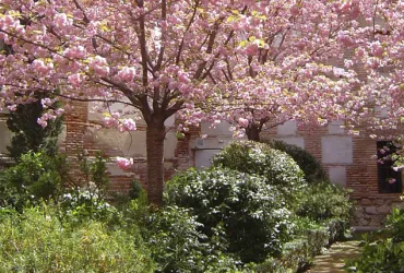 Colaboración entre el Instituto Franklin-UAH y el Museo Esteban Vicente de Segovia