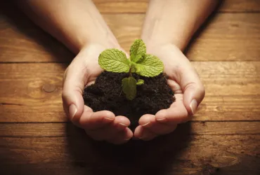 Charla sobre Ecocrítica para Ecologistas en Acción