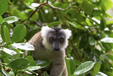 Tesis doctoral defendida por Gloria Fernández Lázaro