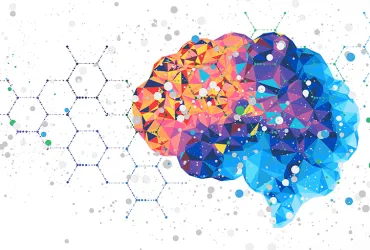 De como el bilingüismo esculpe el cerebro