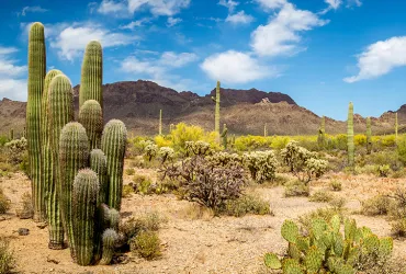 From Santa Barbara to San Juan de los Caballeros: Villagrá’s historia and the itinerario of Juan de Onate’s Expedition of 1598