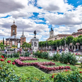 International Studies